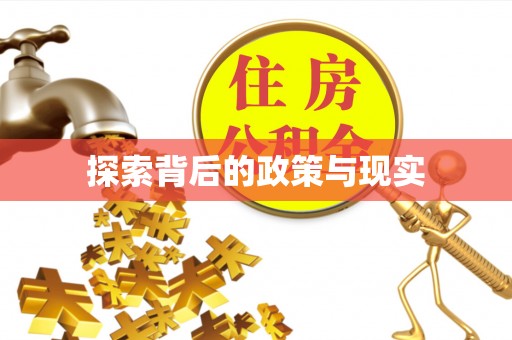 辉县探索背后的政策与现实