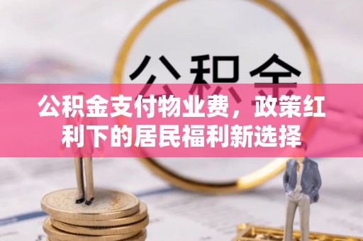 辉县公积金支付物业费，政策红利下的居民福利新选择