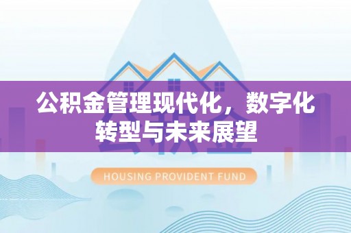 辉县公积金管理现代化，数字化转型与未来展望