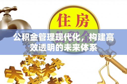 辉县公积金管理现代化，构建高效透明的未来体系