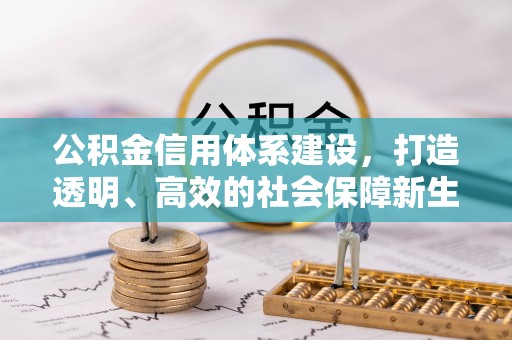 辉县公积金信用体系建设，打造透明、高效的社会保障新生态