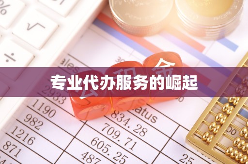 辉县专业代办服务的崛起