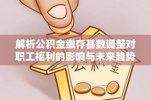 辉县解析公积金缴存基数调整对职工福利的影响与未来趋势