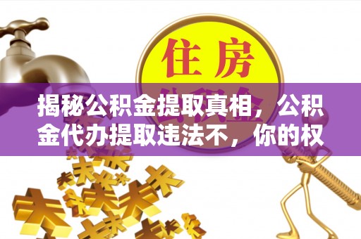 辉县揭秘公积金提取真相，公积金代办提取违法不，你的权益如何保障？
