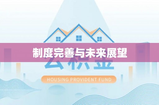 辉县制度完善与未来展望