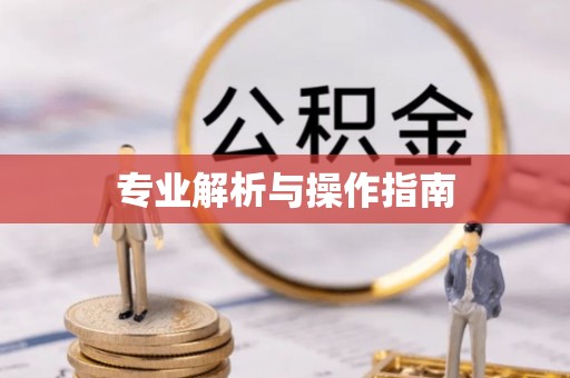 辉县专业解析与操作指南