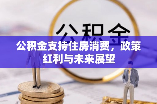 辉县公积金支持住房消费，政策红利与未来展望