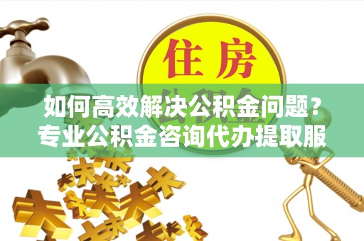 辉县如何高效解决公积金问题？专业公积金咨询代办提取服务来帮你