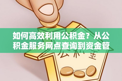 辉县如何高效利用公积金？从公积金服务网点查询到资金管理全攻略