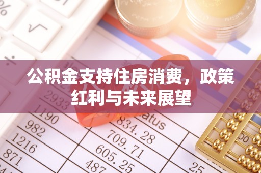 辉县公积金支持住房消费，政策红利与未来展望