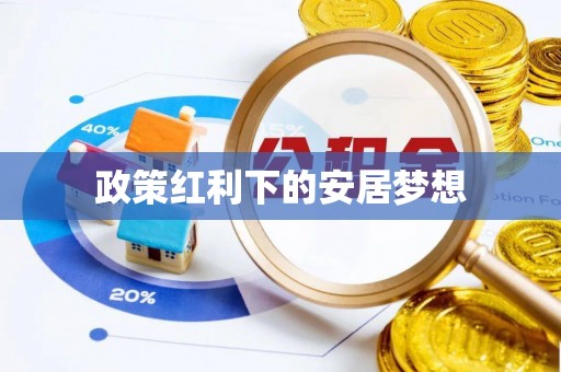 辉县政策红利下的安居梦想