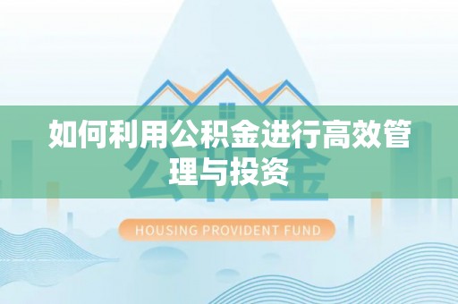 辉县如何利用公积金进行高效管理与投资