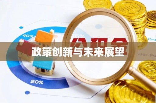 辉县政策创新与未来展望