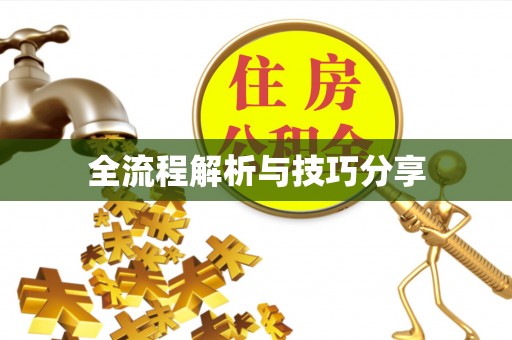 辉县全流程解析与技巧分享