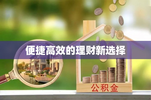 辉县便捷高效的理财新选择