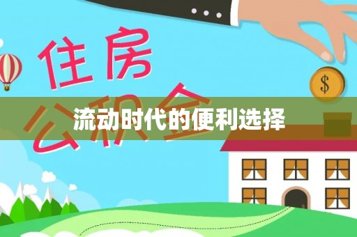 辉县流动时代的便利选择