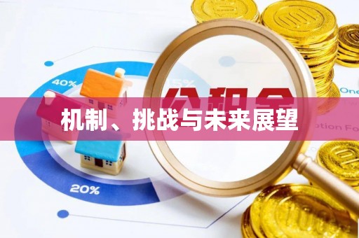 辉县机制、挑战与未来展望
